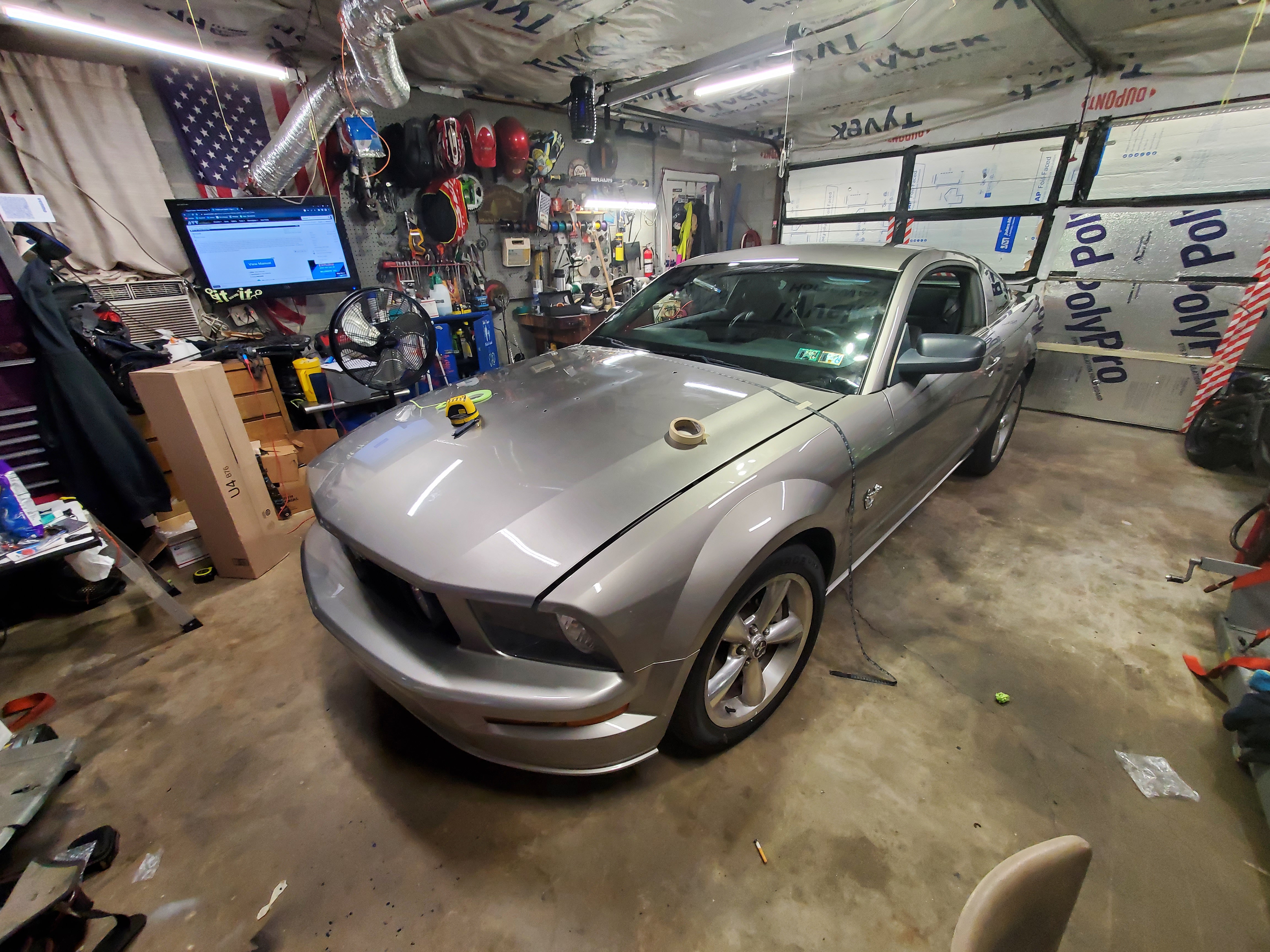Mustang Before