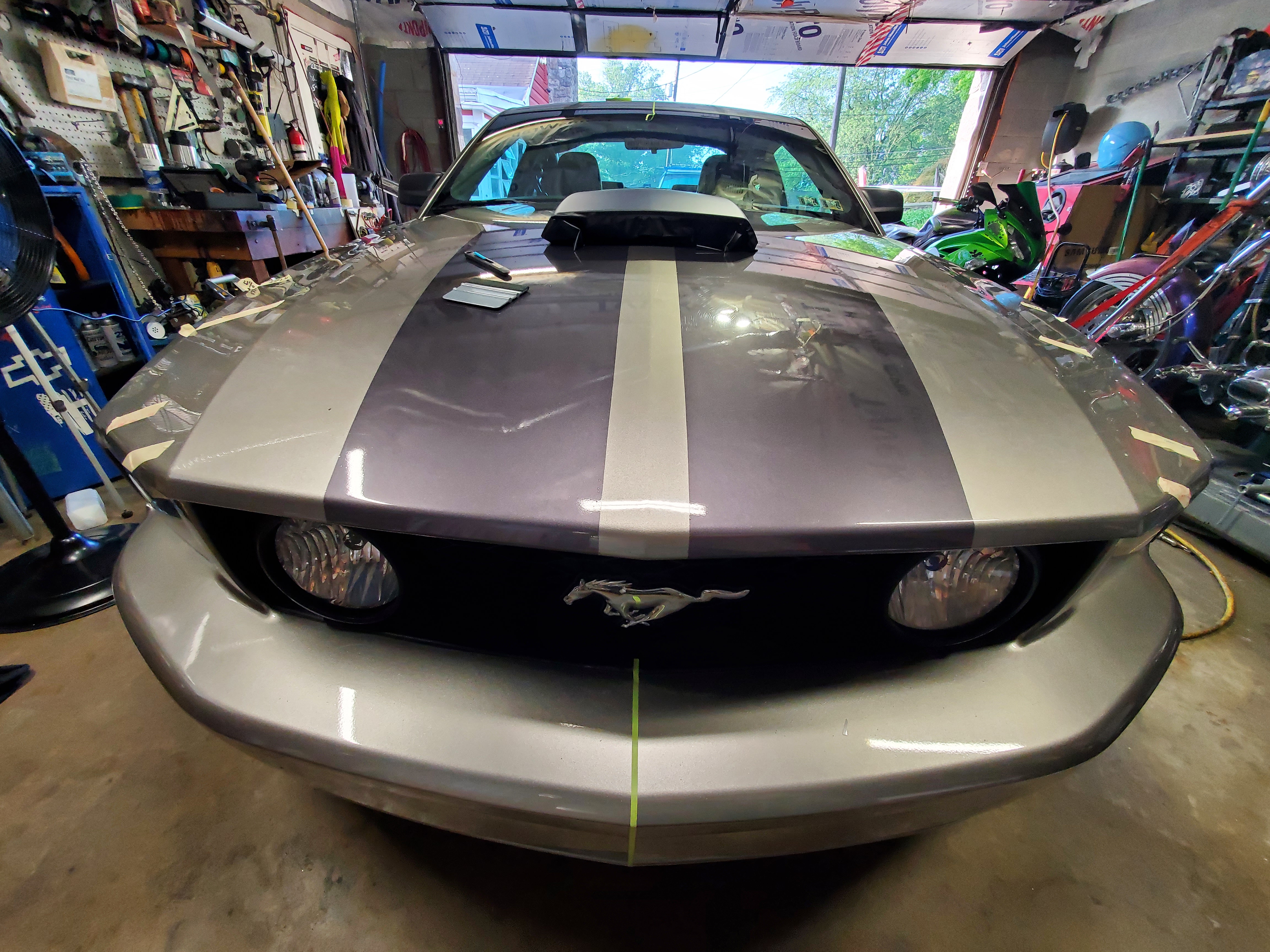 Mustang Stripe Detail 1