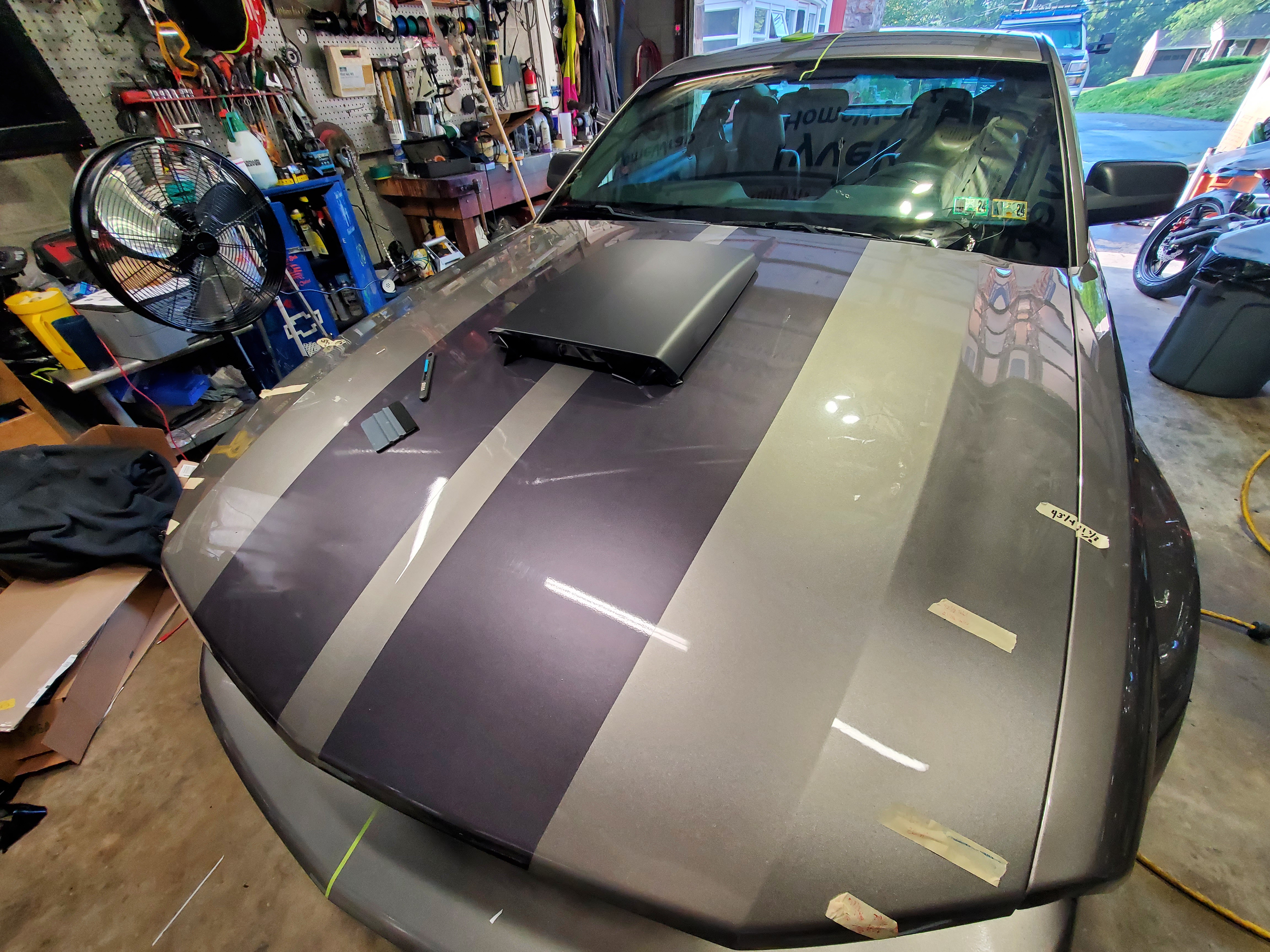 Mustang Stripe Detail 2