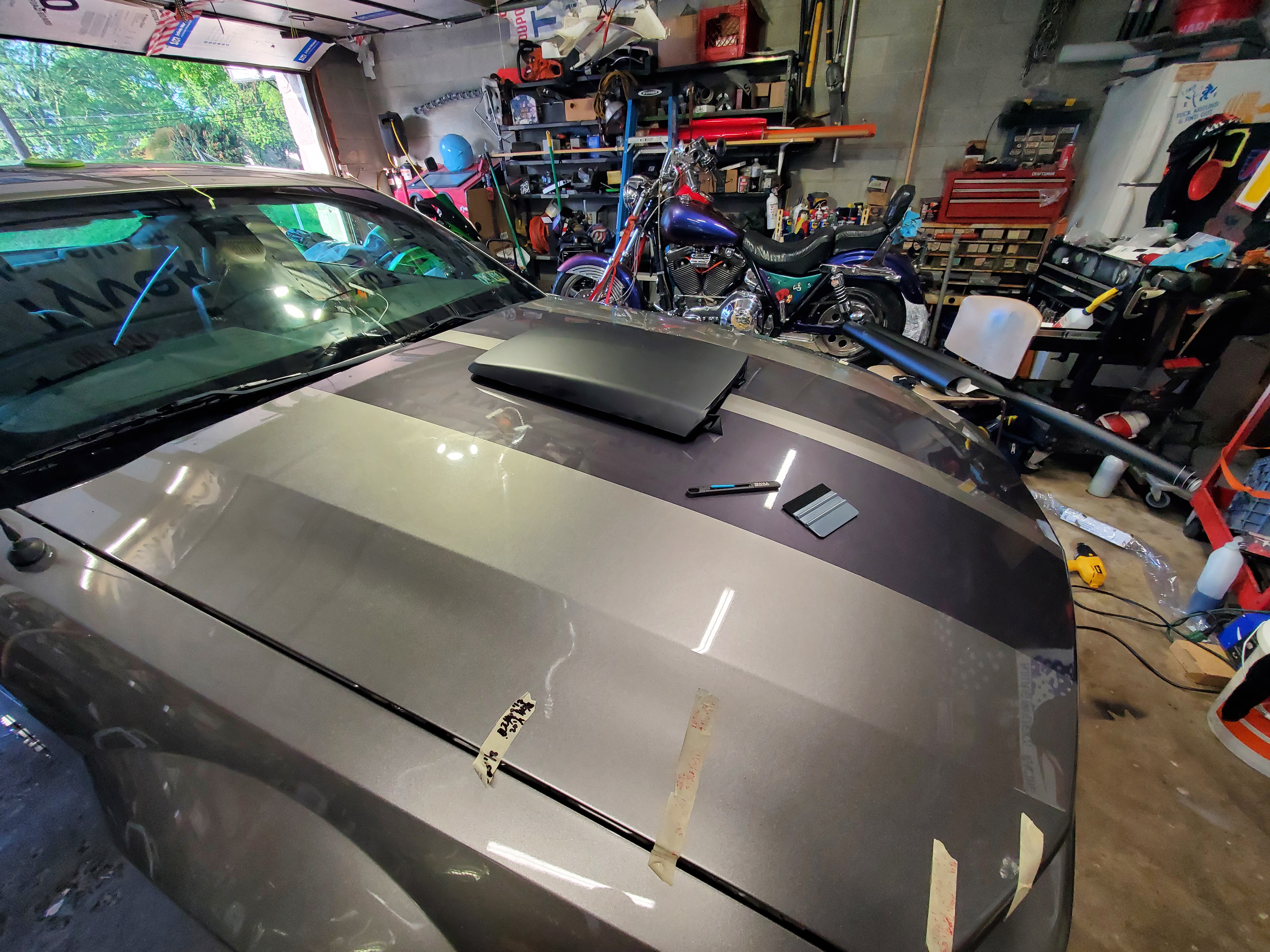 Mustang Stripe Detail 3